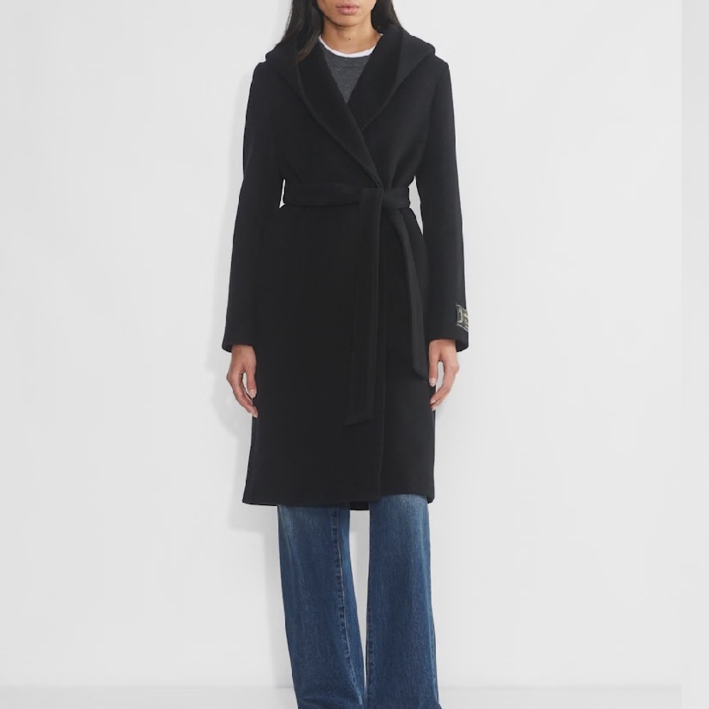 Aritzia Borda Coat